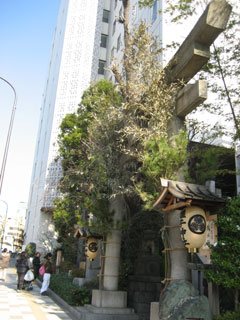 2007年～2008年へ