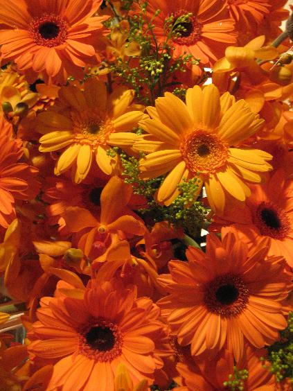 FLORIAリリースパーティ