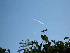 スウェーデン最終日